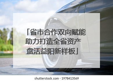 省市合作双向赋能 助力打造全省资产盘活益阳新样板