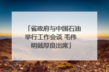 省政府与中国石油举行工作会谈 毛伟明戴厚良出席