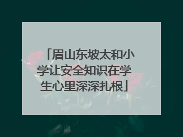 眉山东坡太和小学让安全知识在学生心里深深扎根