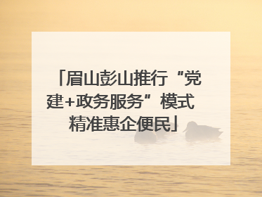 眉山彭山推行“党建+政务服务”模式 精准惠企便民