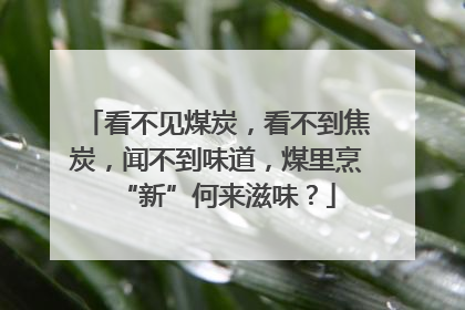 看不见煤炭，看不到焦炭，闻不到味道，煤里烹“新”何来滋味？