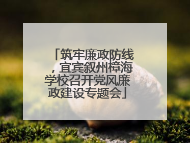 筑牢廉政防线，宜宾叙州樟海学校召开党风廉政建设专题会