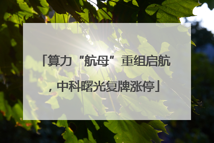 算力“航母”重组启航，中科曙光复牌涨停