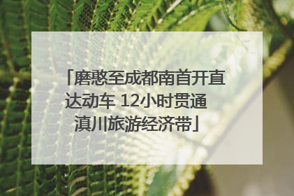 磨憨至成都南首开直达动车 12小时贯通滇川旅游经济带