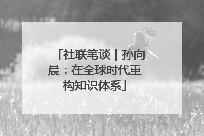 社联笔谈｜孙向晨：在全球时代重构知识体系