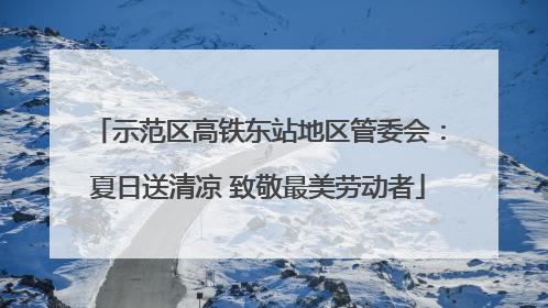 示范区高铁东站地区管委会：夏日送清凉 致敬最美劳动者