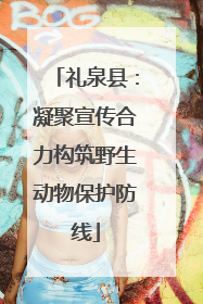 礼泉县：凝聚宣传合力构筑野生动物保护防线