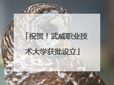 祝贺！武威职业技术大学获批设立