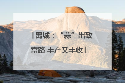 禹城：“蒜”出致富路 丰产又丰收