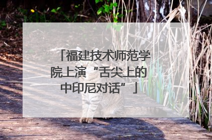 福建技术师范学院上演“舌尖上的中印尼对话”