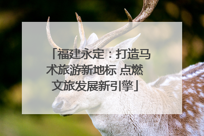 福建永定：打造马术旅游新地标 点燃文旅发展新引擎