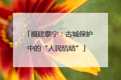 福建泰宁：古城保护中的“人民情结”
