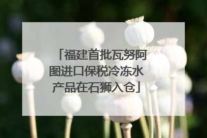 福建首批瓦努阿图进口保税冷冻水产品在石狮入仓