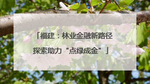 福建：林业金融新路径探索助力“点绿成金”