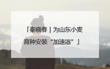 秦晓春｜为山东小麦育种安装“加速器”
