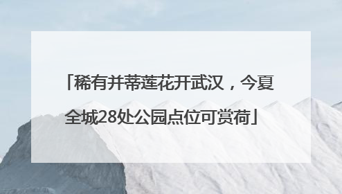 稀有并蒂莲花开武汉，今夏全城28处公园点位可赏荷