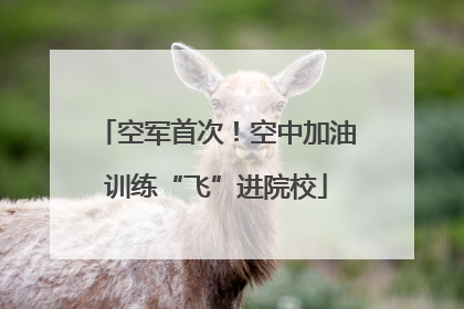 空军首次！空中加油训练“飞”进院校