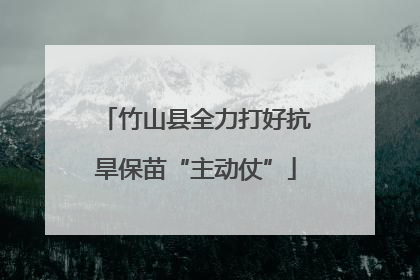 竹山县全力打好抗旱保苗“主动仗”