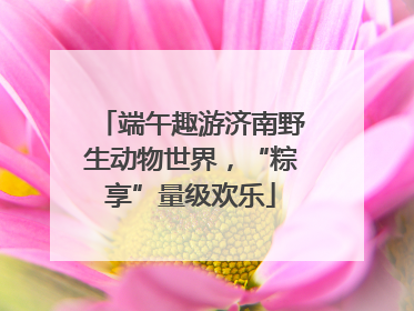 端午趣游济南野生动物世界，“粽享”量级欢乐