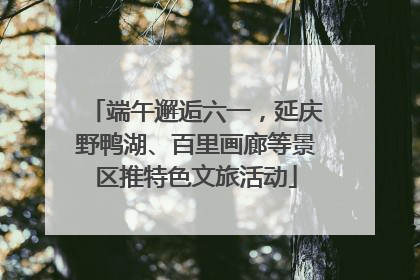 端午邂逅六一,延庆野鸭湖、百里画廊等景区推特色文旅活动
