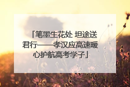 笔墨生花处 坦途送君行——孝汉应高速暖心护航高考学子