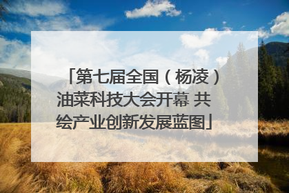 第七届全国（杨凌）油菜科技大会开幕 共绘产业创新发展蓝图