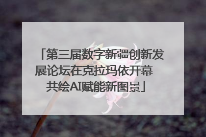 第三届数字新疆创新发展论坛在克拉玛依开幕 共绘AI赋能新图景