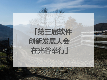 第三届软件创新发展大会在光谷举行