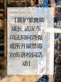 翼护雏鹰助成长 武汉市司法局何湾强戒所开展禁毒宣传进校园活动