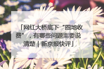 网红大桥底下“圈地收费”，有哪些问题需要说清楚｜新京报快评