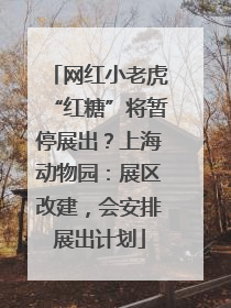 网红小老虎“红糖”将暂停展出？上海动物园：展区改建，会安排展出计划