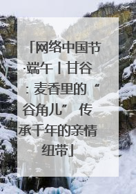 网络中国节·端午丨甘谷：麦香里的“谷角儿” 传承千年的亲情纽带