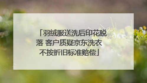 羽绒服送洗后印花脱落 客户质疑京东洗衣不按折旧标准赔偿