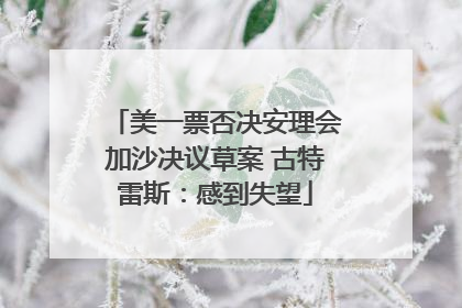美一票否决安理会加沙决议草案 古特雷斯：感到失望