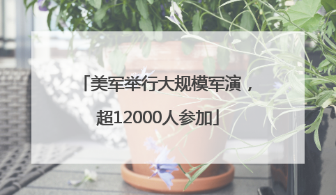 美军举行大规模军演，超12000人参加