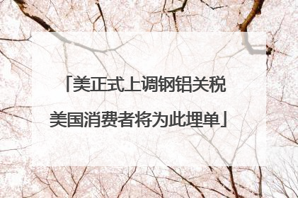 美正式上调钢铝关税 美国消费者将为此埋单