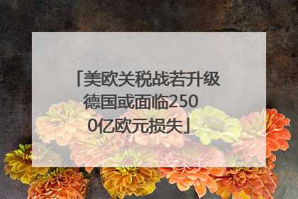 美欧关税战若升级 德国或面临2500亿欧元损失