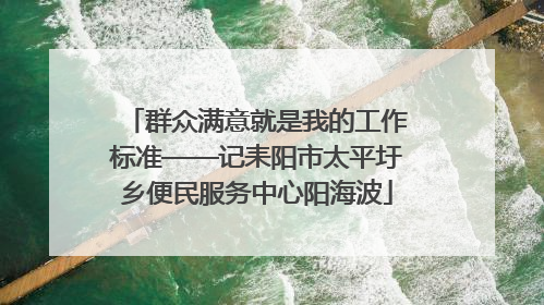 群众满意就是我的工作标准——记耒阳市太平圩乡便民服务中心阳海波