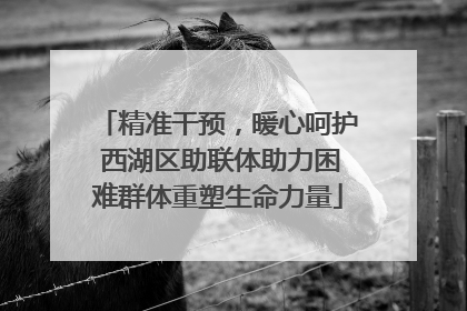 精准干预，暖心呵护 西湖区助联体助力困难群体重塑生命力量
