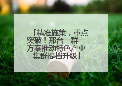 精准施策，重点突破！邢台一群一方案推动特色产业集群提档升级