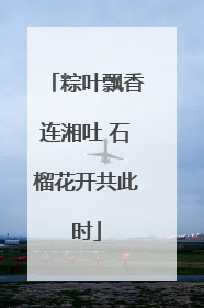 粽叶飘香连湘吐 石榴花开共此时