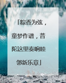 粽香为弦，童梦作谱，普陀这里奏响睦邻新乐章