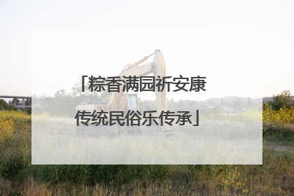 粽香满园祈安康 传统民俗乐传承