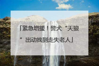 紧急增援！警犬“天狼”出动找到走失老人