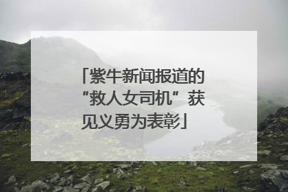 紫牛新闻报道的“救人女司机”获见义勇为表彰