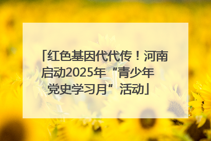 红色基因代代传！河南启动2025年“青少年党史学习月”活动