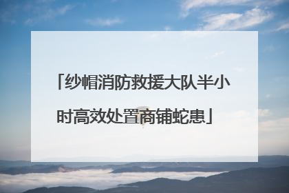 纱帽消防救援大队半小时高效处置商铺蛇患