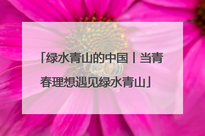绿水青山的中国丨当青春理想遇见绿水青山