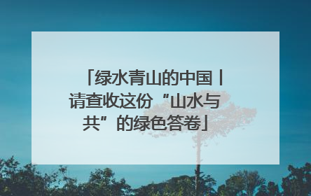 绿水青山的中国丨请查收这份“山水与共”的绿色答卷