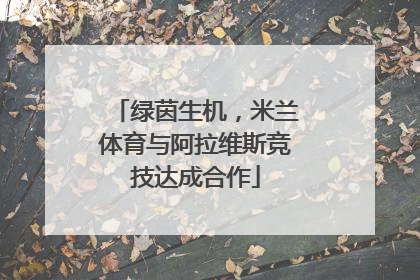 绿茵生机，米兰体育与阿拉维斯竞技达成合作